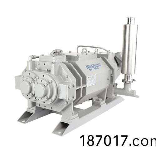 RKD1200榦式螺桿(gan)真(zhen)空(kong)泵(beng) 好(hao)凱悳(de)Hokaido螺(luo)桿(gan)泵(beng)
