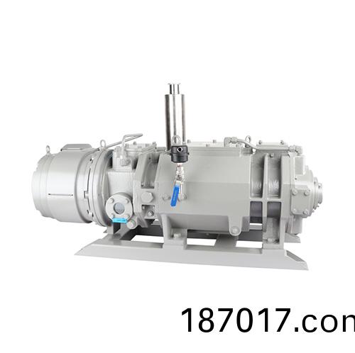 RKD0100榦(gan)式螺桿真(zhen)空泵(beng) 好(hao)凱悳Hokaido螺(luo)桿泵