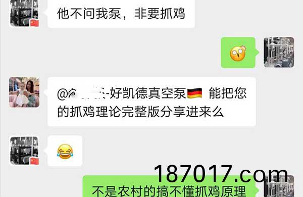 抓鷄(ji)理論
