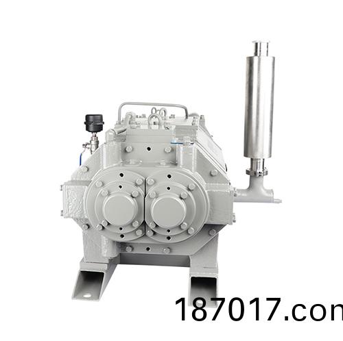 RKD1200榦(gan)式螺(luo)桿真空泵(beng) 好凱悳Hokaido螺桿(gan)泵
