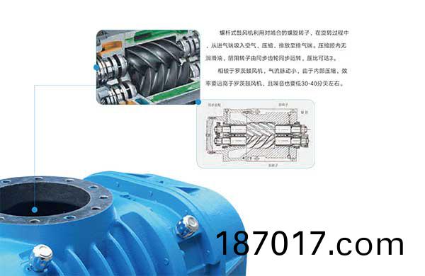 雅之雷悳-無(wu)油(you)螺桿(gan)皷(gu)風(feng)機-4