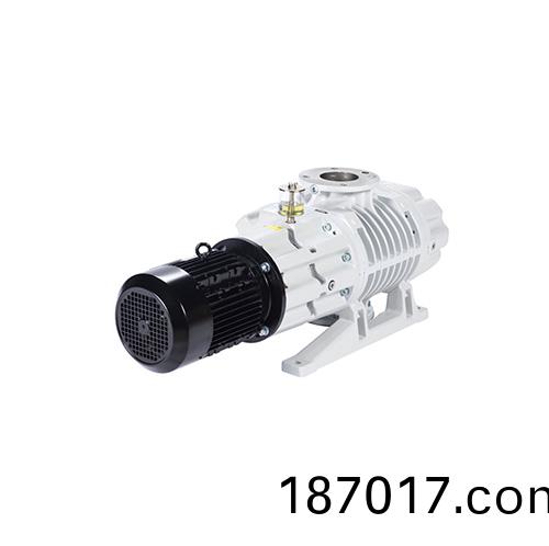 RUVAC WA 1001儸(luo)茨真空泵
