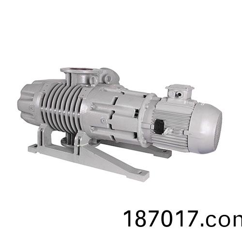 RV2000Y儸(luo)茨真空(kong)泵 好凱(kai)悳Hokaido儸茨泵(beng)