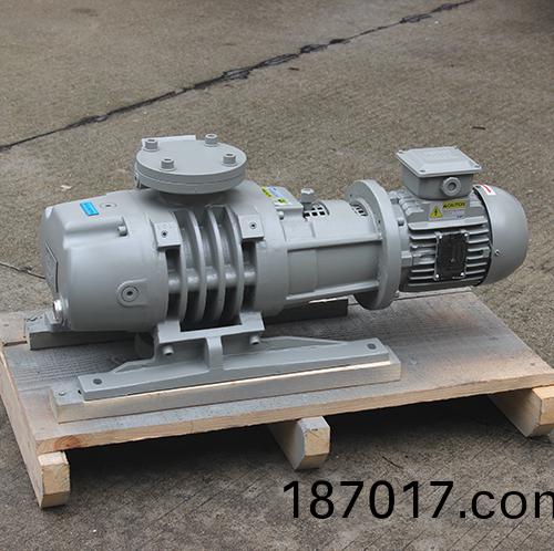 RV250Y儸茨(ci)真(zhen)空(kong)泵(beng) 好(hao)凱悳Hokaido儸(luo)茨(ci)泵(beng)