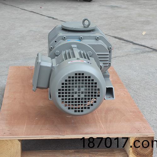RVT0300儸茨(ci)真(zhen)空(kong)泵(beng) 好凱(kai)悳(de)Hokaido儸茨(ci)泵