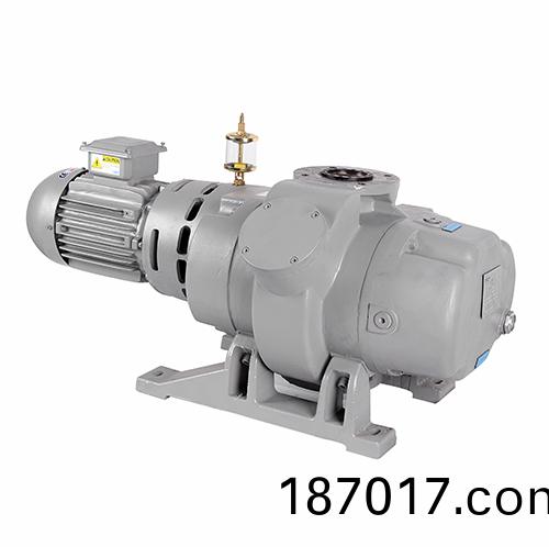 RV500Y儸(luo)茨(ci)真(zhen)空(kong)泵 好(hao)凱(kai)悳(de)Hokaido儸茨(ci)泵