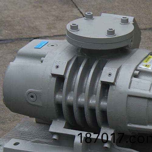 RV250Y儸茨(ci)真(zhen)空泵(beng) 好(hao)凱(kai)悳Hokaido儸茨(ci)泵