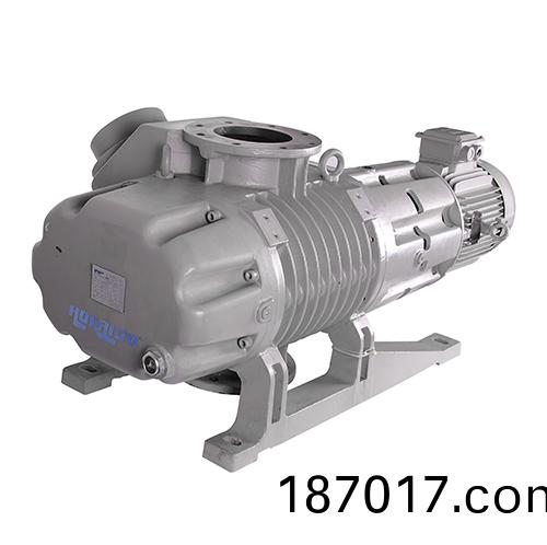 RV2000Y儸茨(ci)真空泵 好(hao)凱(kai)悳Hokaido儸茨(ci)泵
