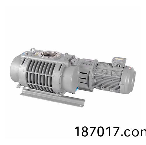 RV1100C儸(luo)茨(ci)真(zhen)空(kong)泵 好凱(kai)悳(de)Hokaido儸茨(ci)泵(beng)