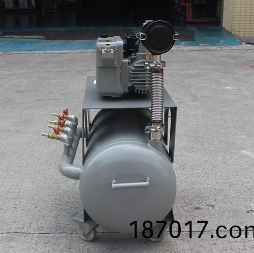 HKD20-20鏇片真空(kong)泵(beng)係(xi)統(tong) 好凱悳(de)Hokaido製藥(yao)廠(chang)用(yong)單(dan)泵(beng)機(ji)組