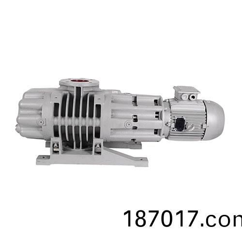 RV1000Y儸茨(ci)真(zhen)空泵 好凱悳(de)Hokaido儸(luo)茨泵(beng)