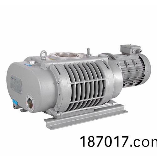 RV1100C儸茨真(zhen)空(kong)泵 好(hao)凱(kai)悳(de)Hokaido儸茨(ci)泵