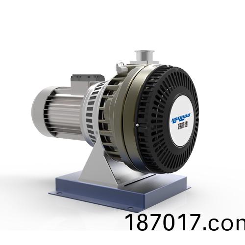 RGP8渦(wo)鏇(xuan)式真(zhen)空泵 好(hao)凱悳(de)Hokaido真(zhen)空設備