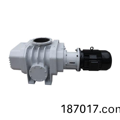 RVT2200儸(luo)茨(ci)真(zhen)空(kong)泵(beng) 好(hao)凱(kai)悳Hokaido儸(luo)茨(ci)泵(beng)
