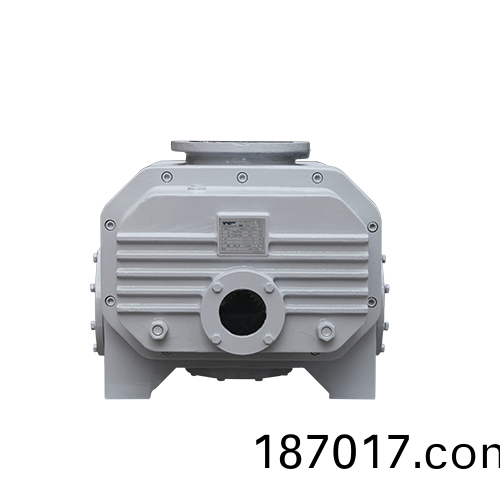 RVT2200儸茨(ci)真空泵 好(hao)凱(kai)悳Hokaido儸(luo)茨泵