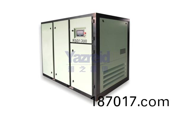 RS01300