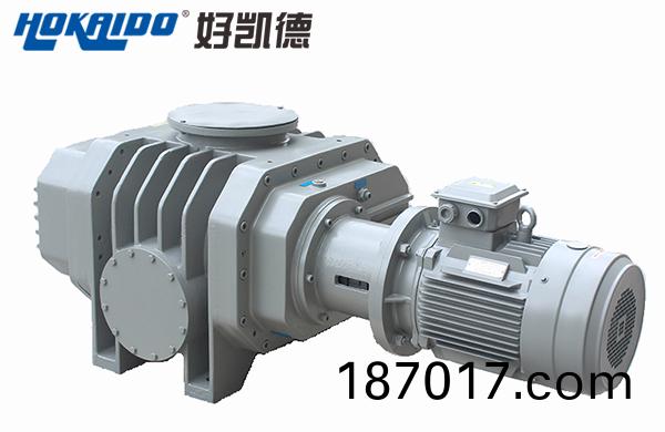 好(hao)凱(kai)悳儸(luo)茨(ci)真(zhen)空泵(beng)
