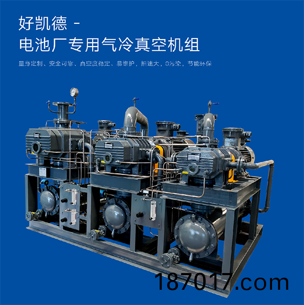電(dian)池(chi)廠(chang)專用真空機組(zu) (1)