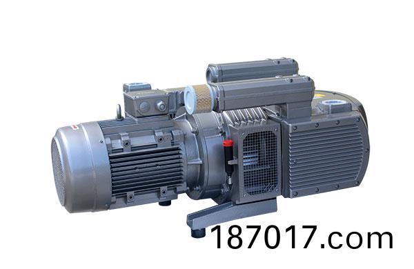 RVE400碳(tan)片(pian)真空(kong)泵 無油(you)鏇片(pian)泵(beng)