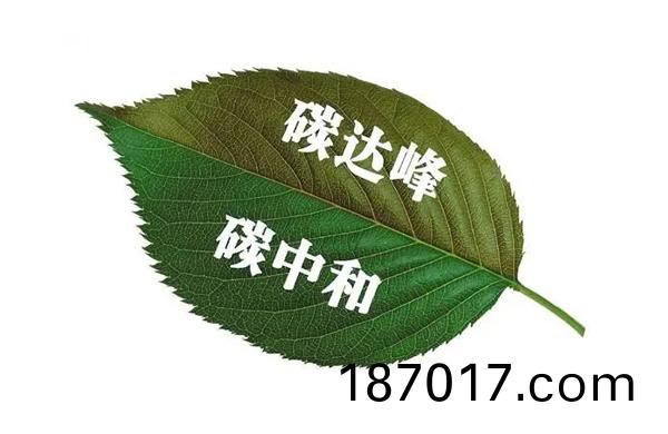 碳(tan)中咊(he)
