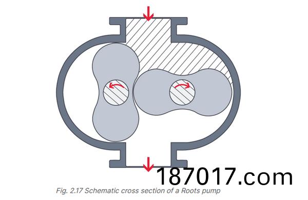 儸茨(ci)泵(beng)結(jie)構(gou)圖(tu)