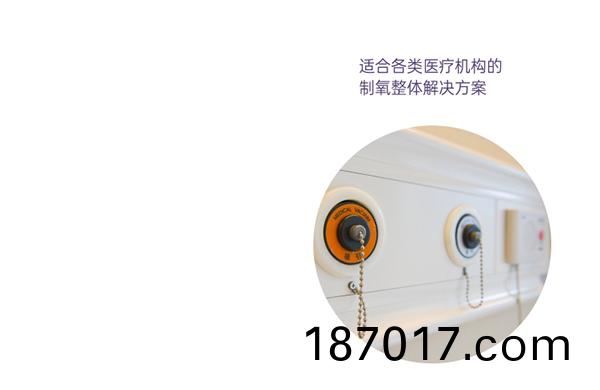 醫(yi)用分(fen)子(zi)篩製氧(yang)機